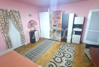 Apartament cu 2 camere nedecomandat, mobilat în Terezian