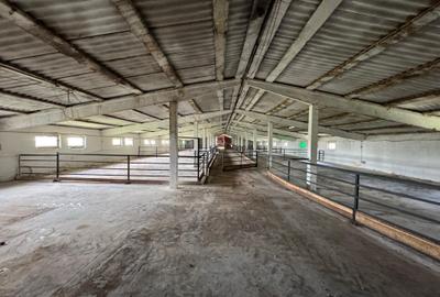 Proprietate specială, de 4,850 mp, în Vitănești - 10