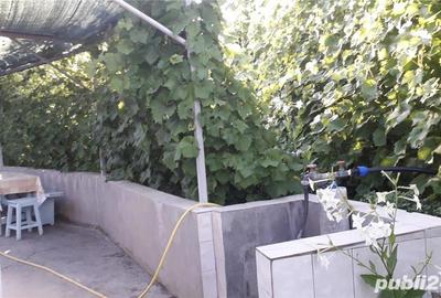 Casă cu 4 camere cu Teren 5000 Mp în Valea Mărului - 5