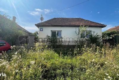 Casă cu 2 camere în Sântandrei