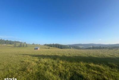 Teren de 500000 mp, în Ciocănești - 13