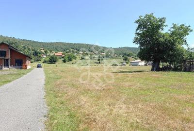 Teren de 4031 mp, în Negreni