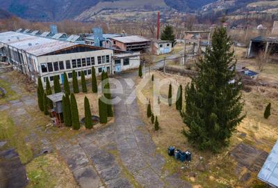 Spațiu industrial, de 5,000 mp, în Bucea - 2