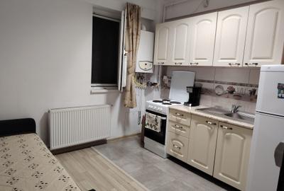 Garsonieră decomandată în Turnișor - 2