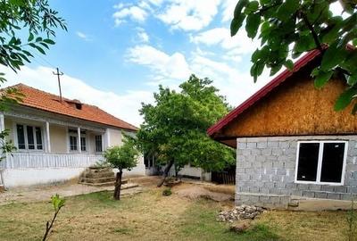 Casă cu 4 camere cu Teren 5361 Mp în Grebănu - 1