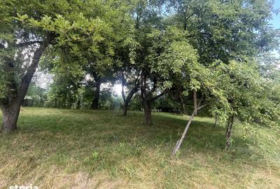 Casă cu 2 camere cu Teren 1424 Mp în Zagon