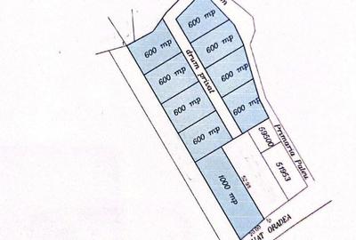 Teren Construcții de 6372 mp, în Dealuri Oradea - 2