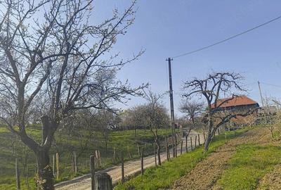 Casă cu 2 camere cu Teren 3536 Mp în Brătești
