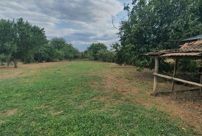 Casă cu 4 camere în Cetatea