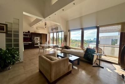 Penthouse cu 3 camere semidecomandat în Herăstrău