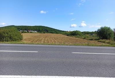 Teren de 5900 mp, în Central