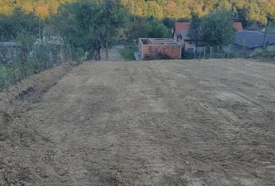 Casă cu 2 camere cu Teren 1142 Mp în Milova - 8