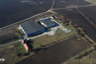 Spațiu comercial, de 6,227 mp, în Mădăras - 4