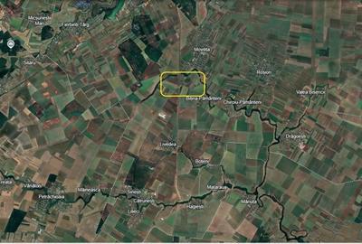 Teren agricol extravilan de 1040000 mp, în Movilița - 3