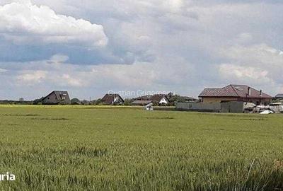 Teren de 5000 mp, în Brănești - 1