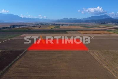 Teren agricol extravilan de 19739 mp, în Exterior Sud