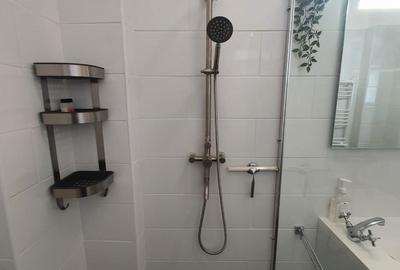 Garsonieră, mobilată în Romană - 2