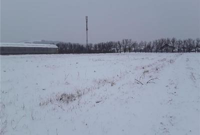 Teren de 7800 mp, în Central - 5
