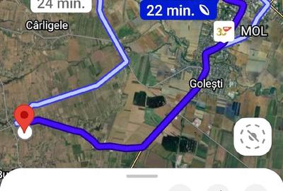 Teren de 1500 mp, în Cotești