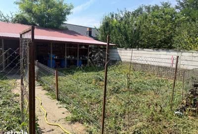 Casă cu 3 camere cu Teren 5000 Mp în Berceni