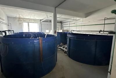 Spațiu comercial, de 600 mp, în Central - 16