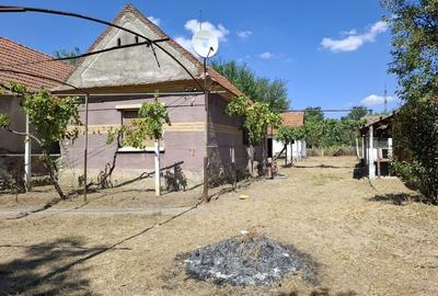 Casă cu 2 camere în Tileagd