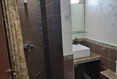 Garsonieră în Tineretului - 5