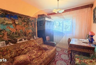 Apartament cu 3 camere decomandat în Radu Negru - 6
