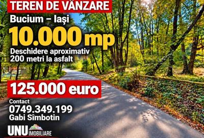 Teren extravilan de 10000 mp, în Bucium