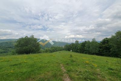Teren Construcții intravilan de 11396 mp, în Moieciu de Jos - 2