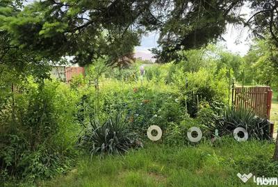 Casă cu 3 camere cu Teren 5063 Mp în Uzunu