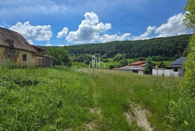 Spațiu comercial, în Biertan - 3