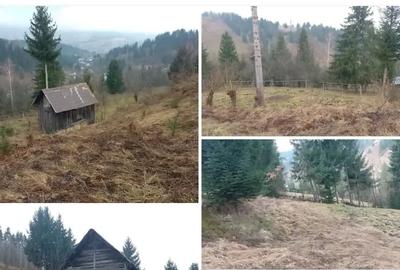 Teren de 3500 mp, în Central