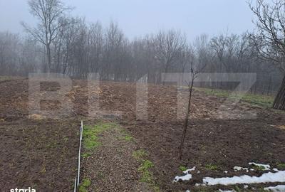 Casă cu 3 camere cu Teren 1600 Mp în Dărmănești - 3
