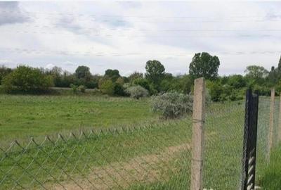 Spațiu comercial, în Bucov - 5