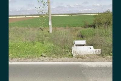 Teren de 10000 mp, în Lipia - 2