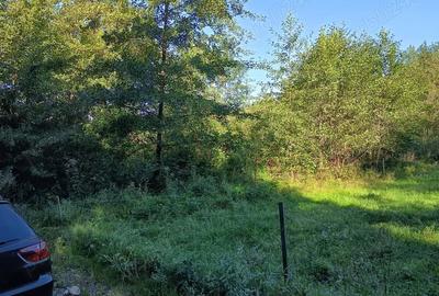 Teren de 4000 mp, în Beznea