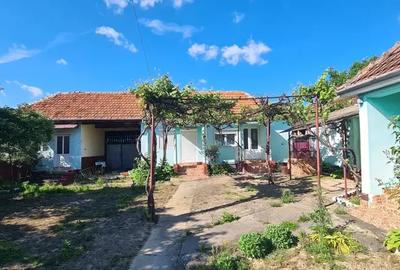 Casă cu 6 camere cu Teren 4200 Mp în Craiva