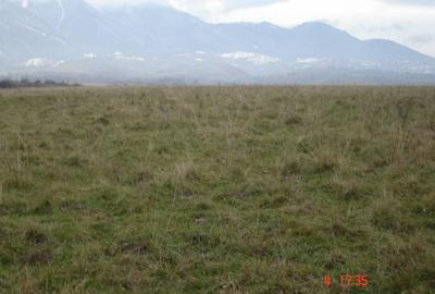 Teren extravilan de 20000 mp, în Râșnov