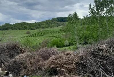 Teren de 2500 mp, în Central - 7
