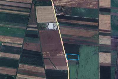 Teren Construcții intravilan de 14450 mp, în Feldioara - 1