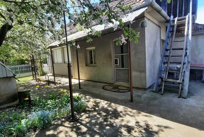 Casă cu 3 camere cu Teren 1350 Mp în Central - 5