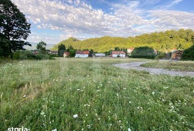 Teren de 1000 mp, în Central