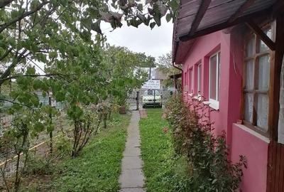 Casă cu 3 camere decomandat în Mislea - 4