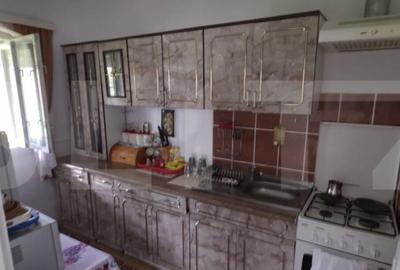 Casă cu 3 camere cu Teren 10000 Mp în Măguri - 3