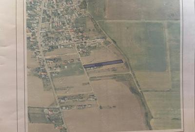 Teren de 5000 mp, în Glina - 6