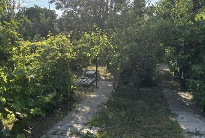 Casă cu 3 camere în Central
