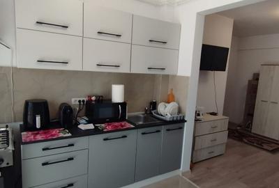 Apartament cu 2 camere semidecomandat, mobilat în Popas Păcurari - 7