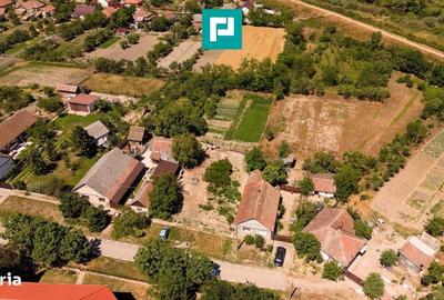 Spațiu comercial, în Zerind - 5