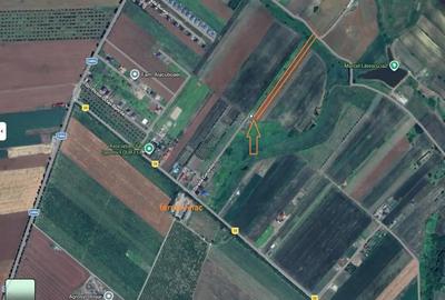 Teren de 5000 mp, în Miroslava